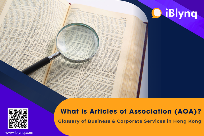 Understanding the Articles of Association (AoA) in Hong Kong