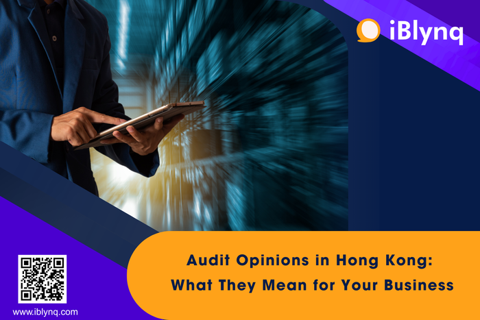 what are Audit Opinions in Hong Kong